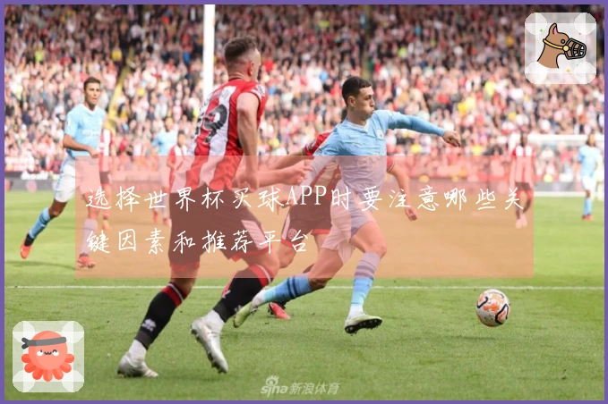 选择世界杯买球APP时要注意哪些关键因素和推荐平台
