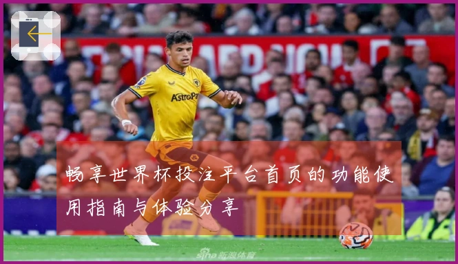 畅享世界杯投注平台首页的功能使用指南与体验分享
