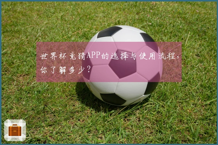 世界杯竞猜APP的选择与使用流程，你了解多少？
