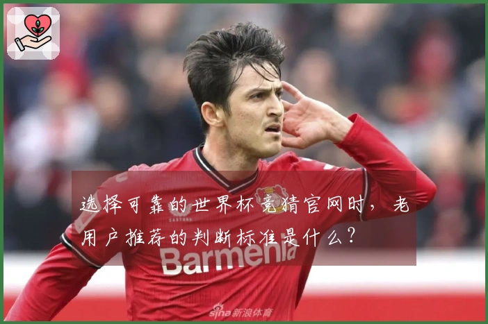 选择可靠的世界杯竞猜官网时，老用户推荐的判断标准是什么？