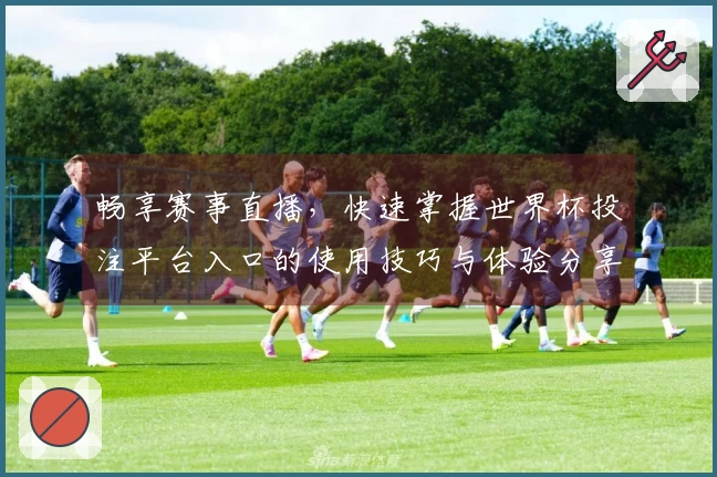 畅享赛事直播，快速掌握世界杯投注平台入口的使用技巧与体验分享