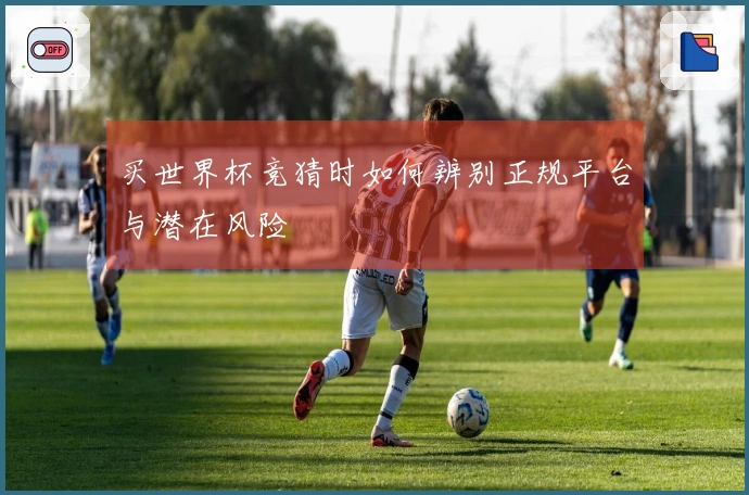 买世界杯竞猜时如何辨别正规平台与潜在风险