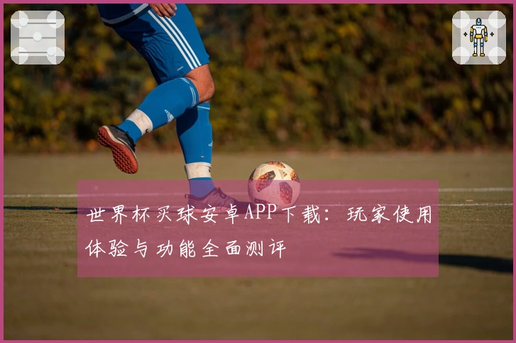 世界杯买球安卓APP下载：玩家使用体验与功能全面测评