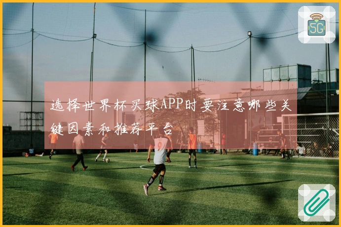 选择世界杯买球APP时要注意哪些关键因素和推荐平台