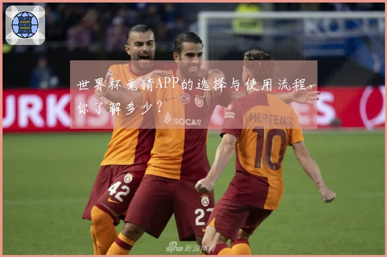 世界杯竞猜APP的选择与使用流程，你了解多少？