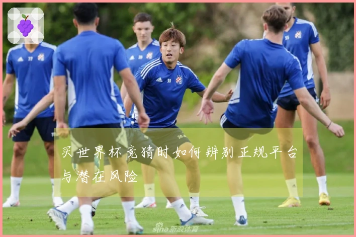 买世界杯竞猜时如何辨别正规平台与潜在风险