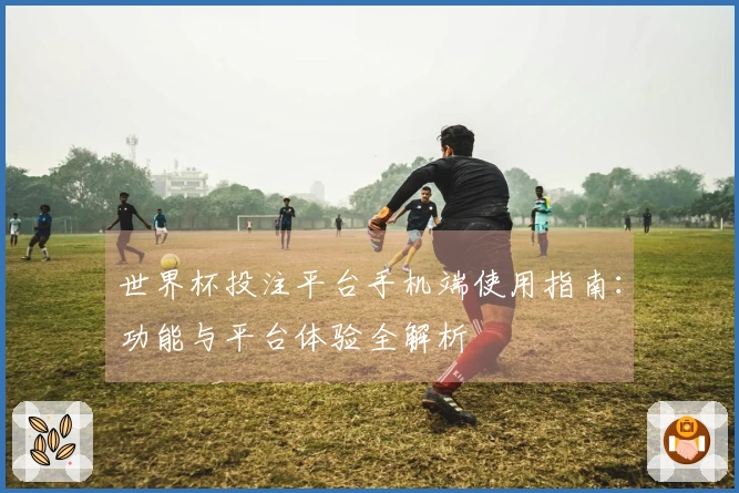 世界杯投注平台手机端使用指南：功能与平台体验全解析
