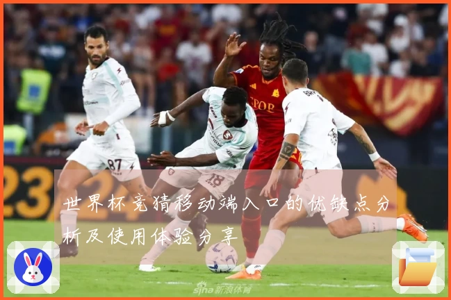 世界杯竞猜移动端入口的优缺点分析及使用体验分享